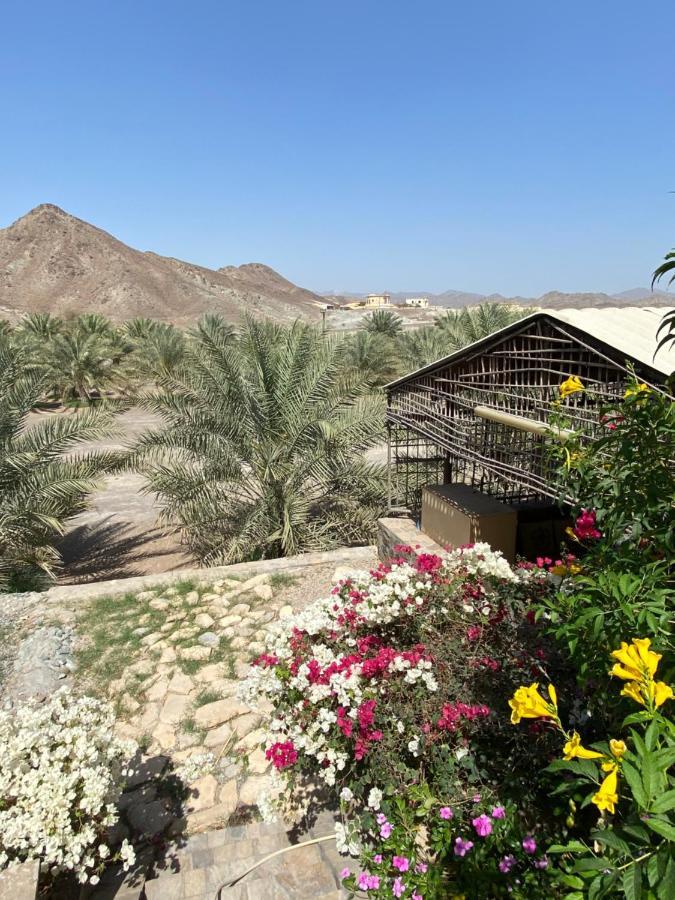 QurUae Farm别墅 外观 照片