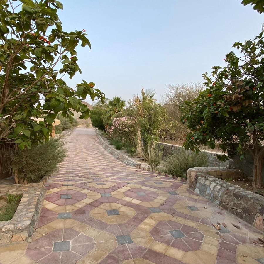 QurUae Farm别墅 外观 照片